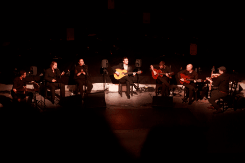 Gallery Daniel Martinez