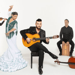 Flamenco | Andalucia Tour - Theater Kikker (Grote Zaal), Utrecht - 29 november 2026 16:00 uur